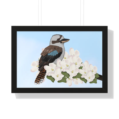 Kookaburra Spring Blossoms Bird Framed Poster