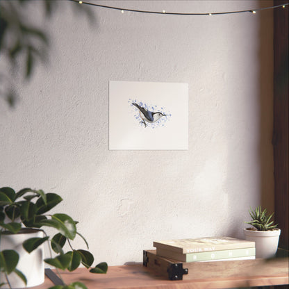 Nuthatch Bird Artwork Matte Poster