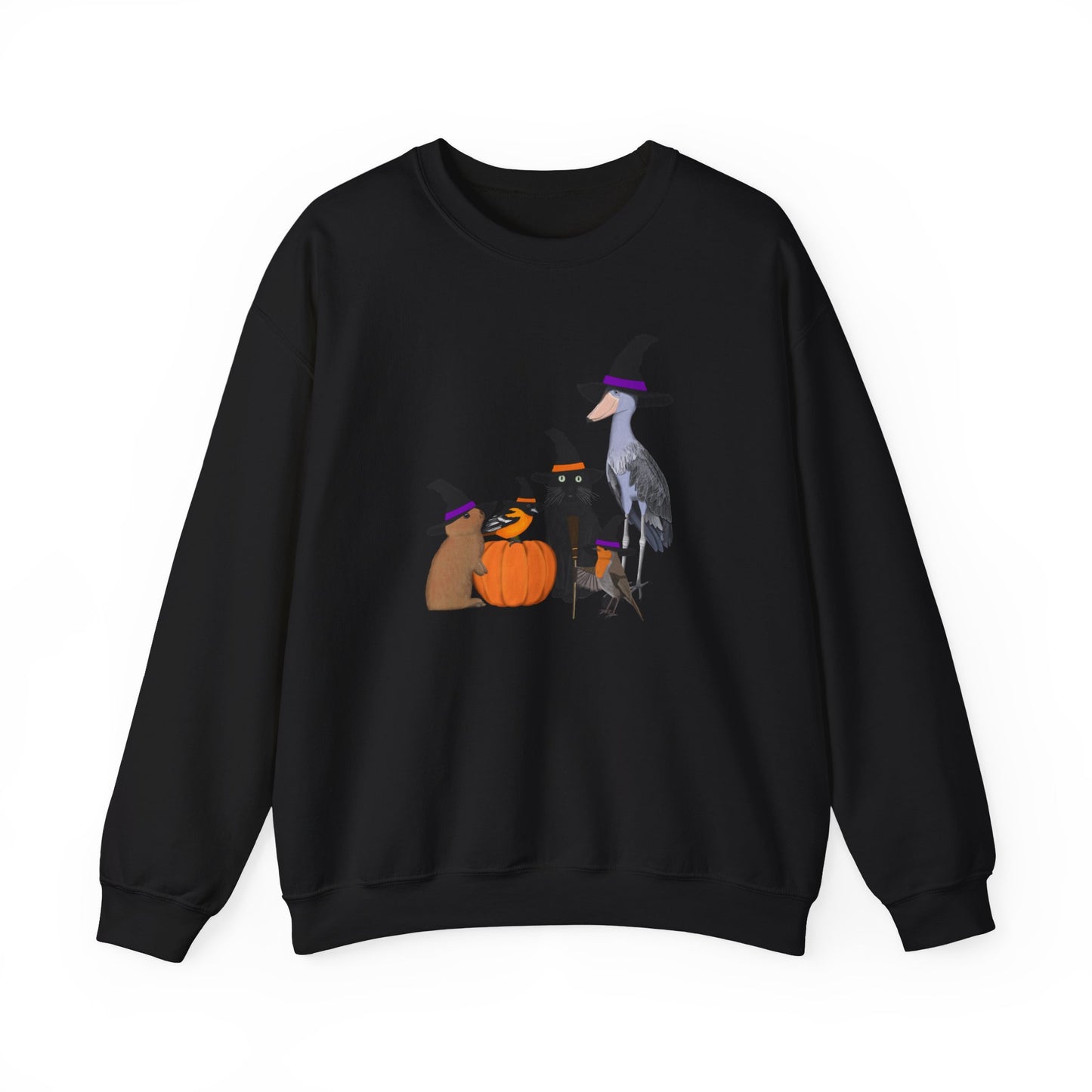 Robin Shoebill Oriole Rabbit with Cat Halloween Birds Sweatshirt