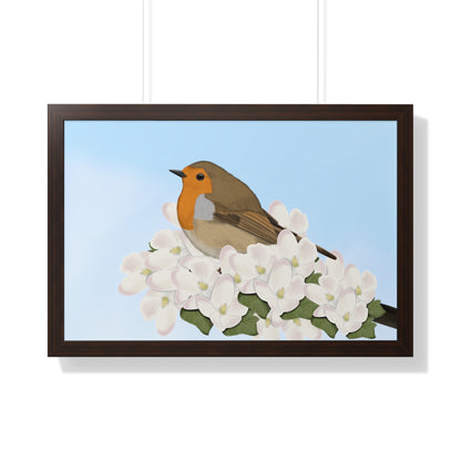 Robin Spring Blossoms Bird Framed Poster