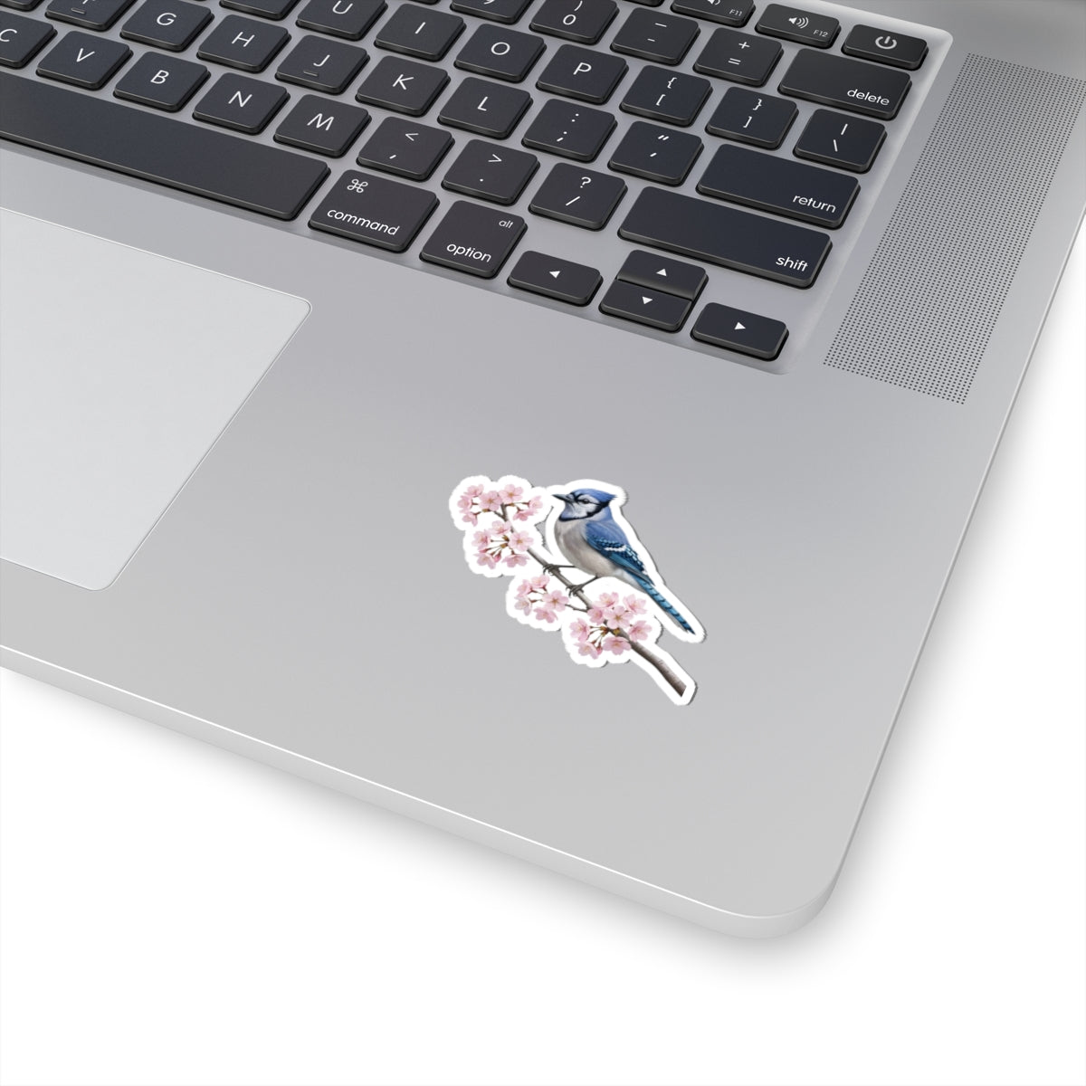 Blue Jay Cherry Blossom Sticker | Glossy Floral Bird Decal | Spring Laptop Sticker