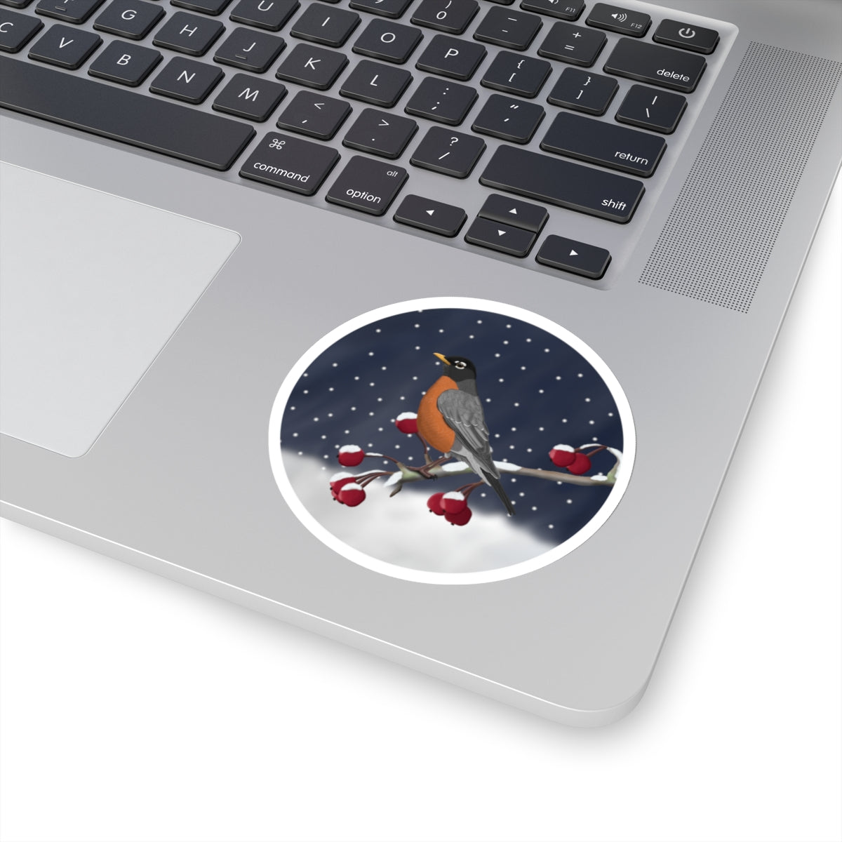 Robin on a Winter Branch Christmas Bird Sticker