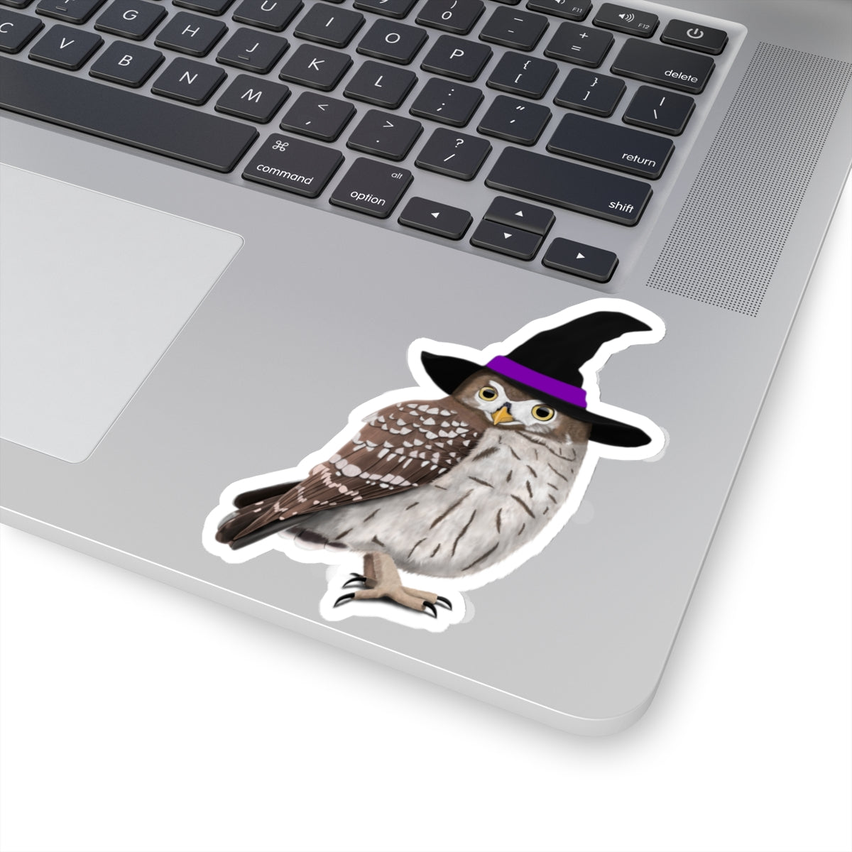 Owl Halloween Witch Hat Bird Sticker