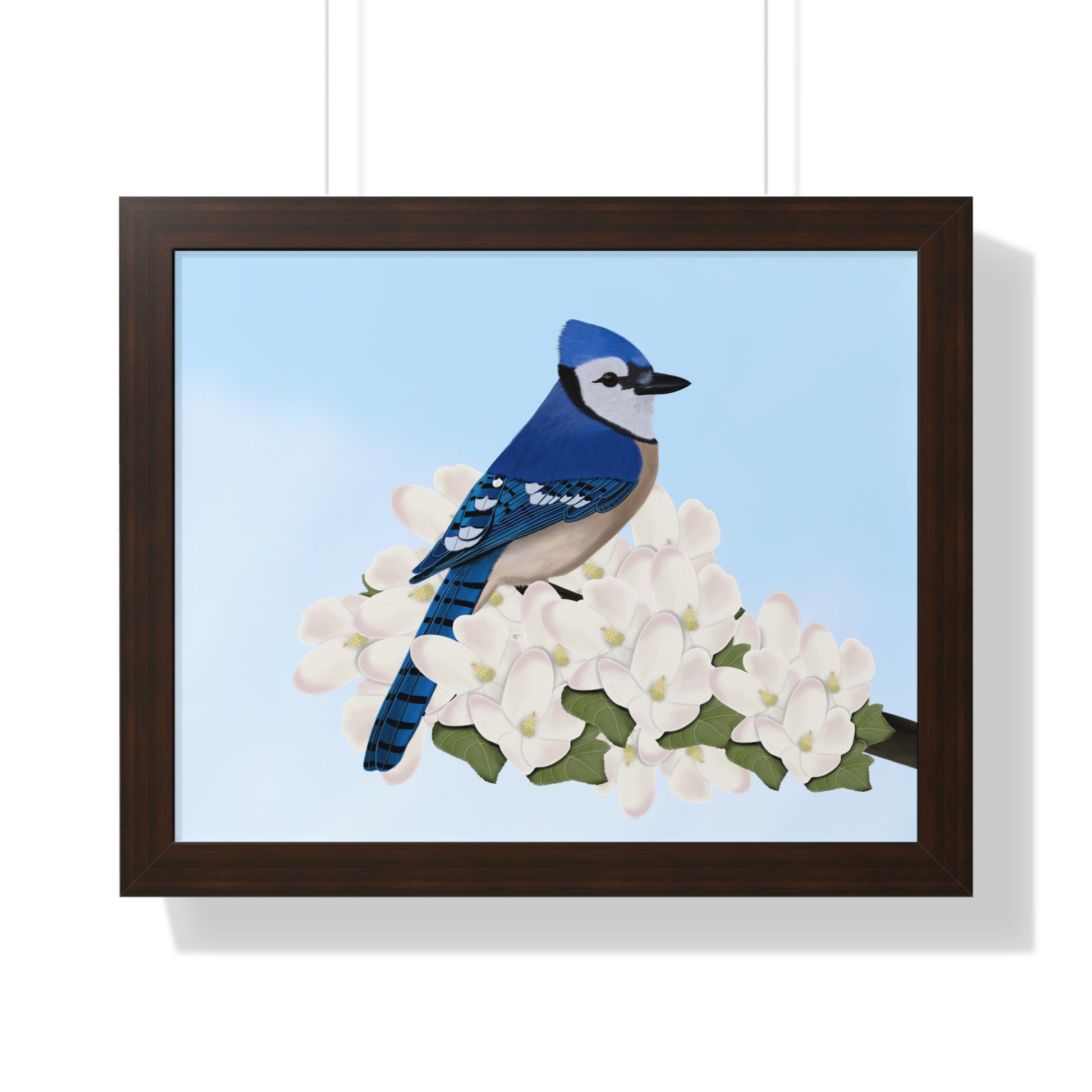 Blue Jay Framed Poster in Black