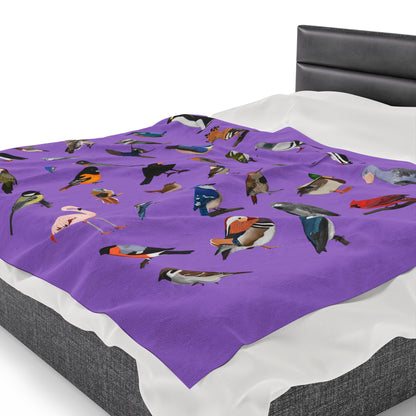 Blue Jay Cardinal Robin Bluebird Hummingbird Oriole Backyard Birds Velveteen Plush Blanket Purple