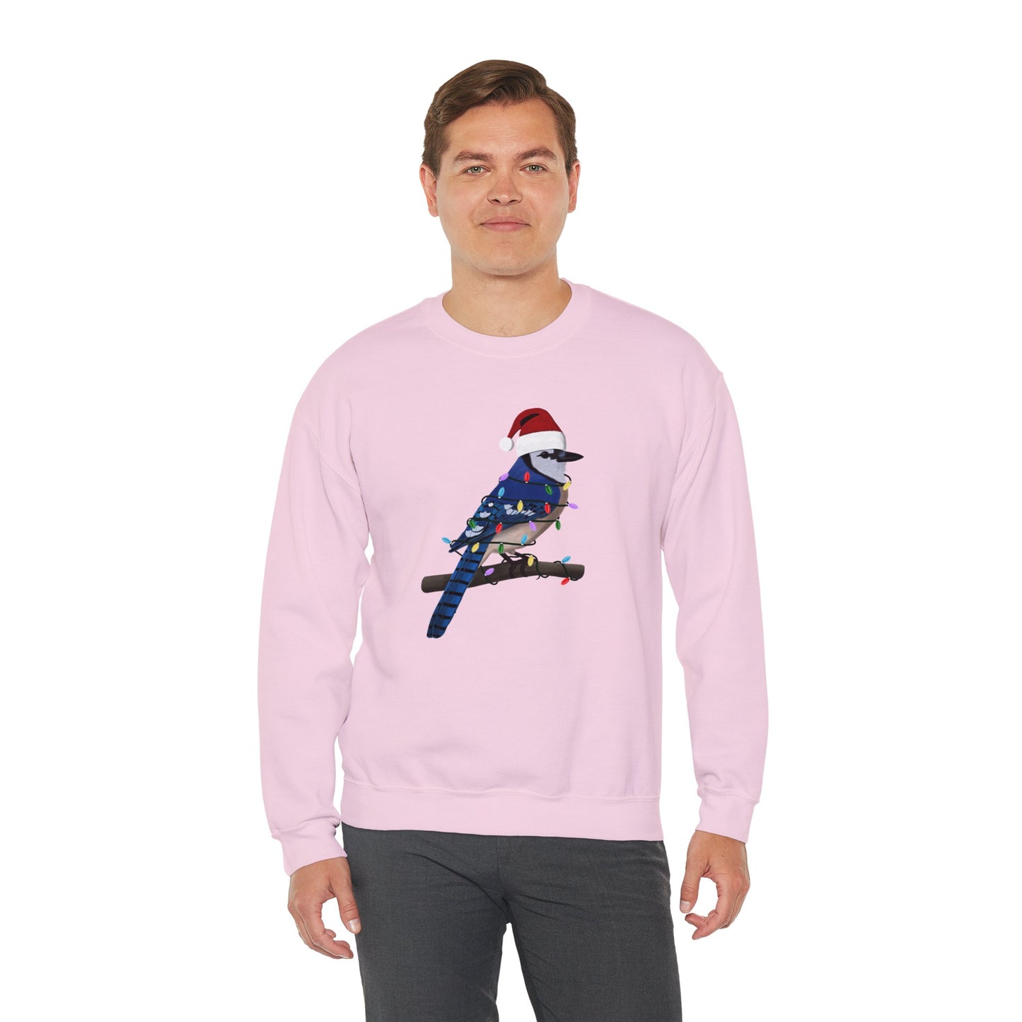 Blue Jay with Fairy Lights Santa Claus Christmas Bird Sweatshirt