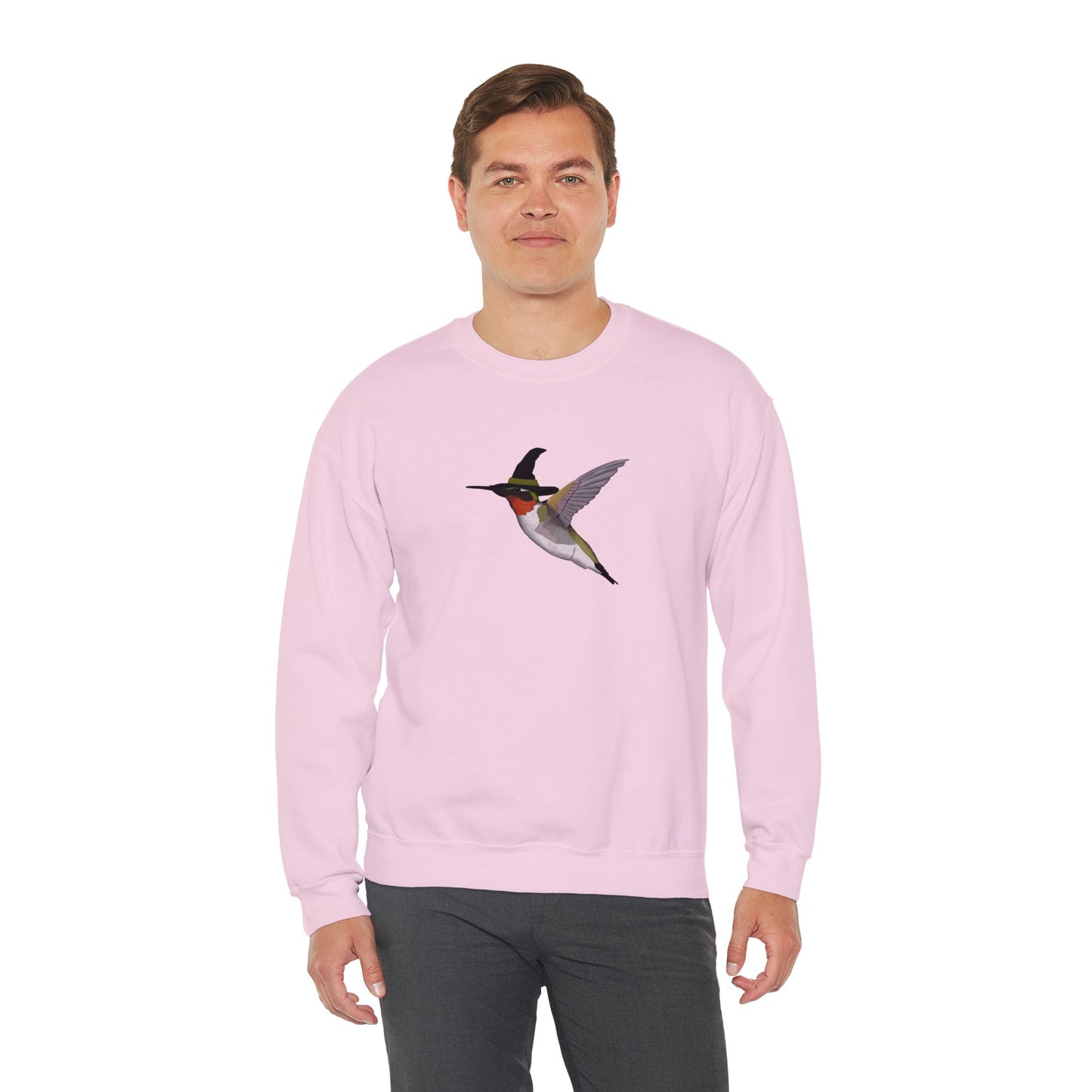 Hummingbird Halloween Birds Witch Birdwatcher Sweatshirt