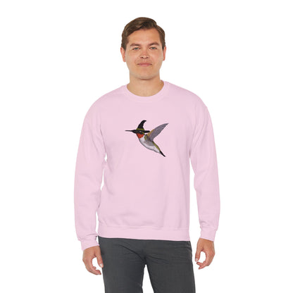 Hummingbird Halloween Birds Witch Birdwatcher Sweatshirt