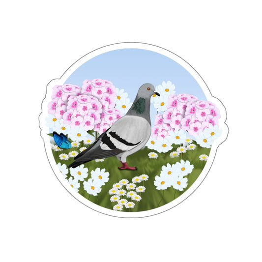 pigeon bird sticker
