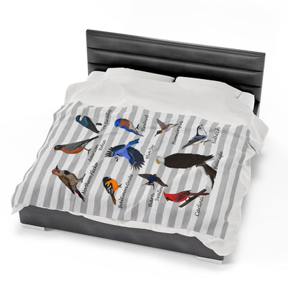 Blue Jay Cardinal Robin Bluebird Hummingbird Backyard Birds Velveteen Plush Blanket Grey White