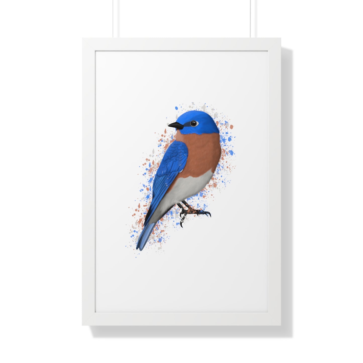 Bluebird Bird Framed Poster