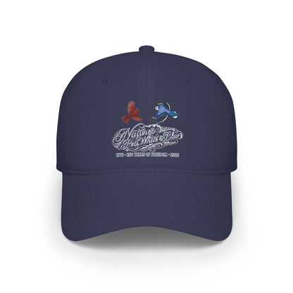 Nature's Red, White & Blue Baseball Cap | Blue Jay Cardinal USA 250 Edition | jz.birds