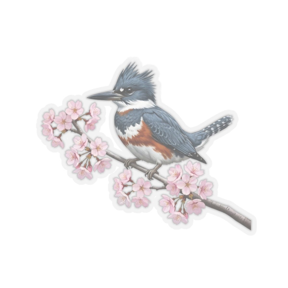 Belted Kingfisher Stickers – bird sticker, cherry blossoms