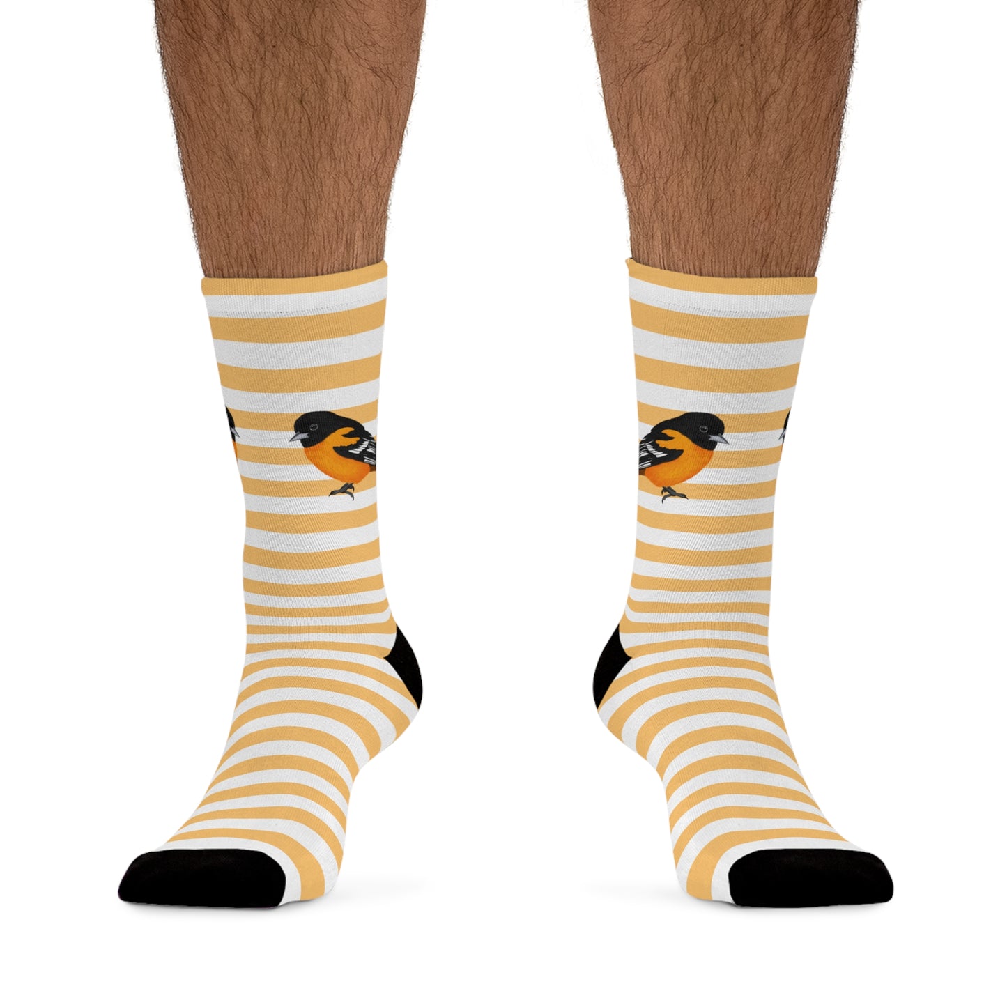 Baltimore Oriole Stripes Blue White Birding & Birdwatching Bird Socks