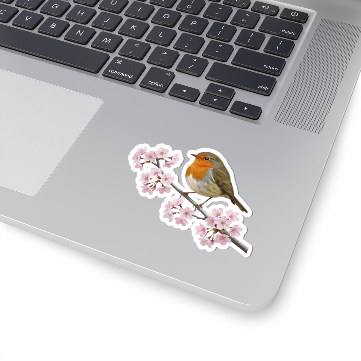 European Robin Cherry Blossom Sticker | Glossy Floral Bird Decal | Spring Laptop Sticker