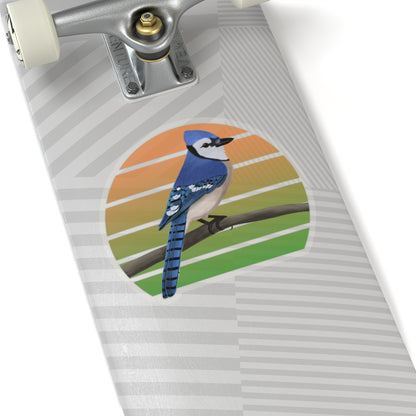 Blue Jay Bird Sticker