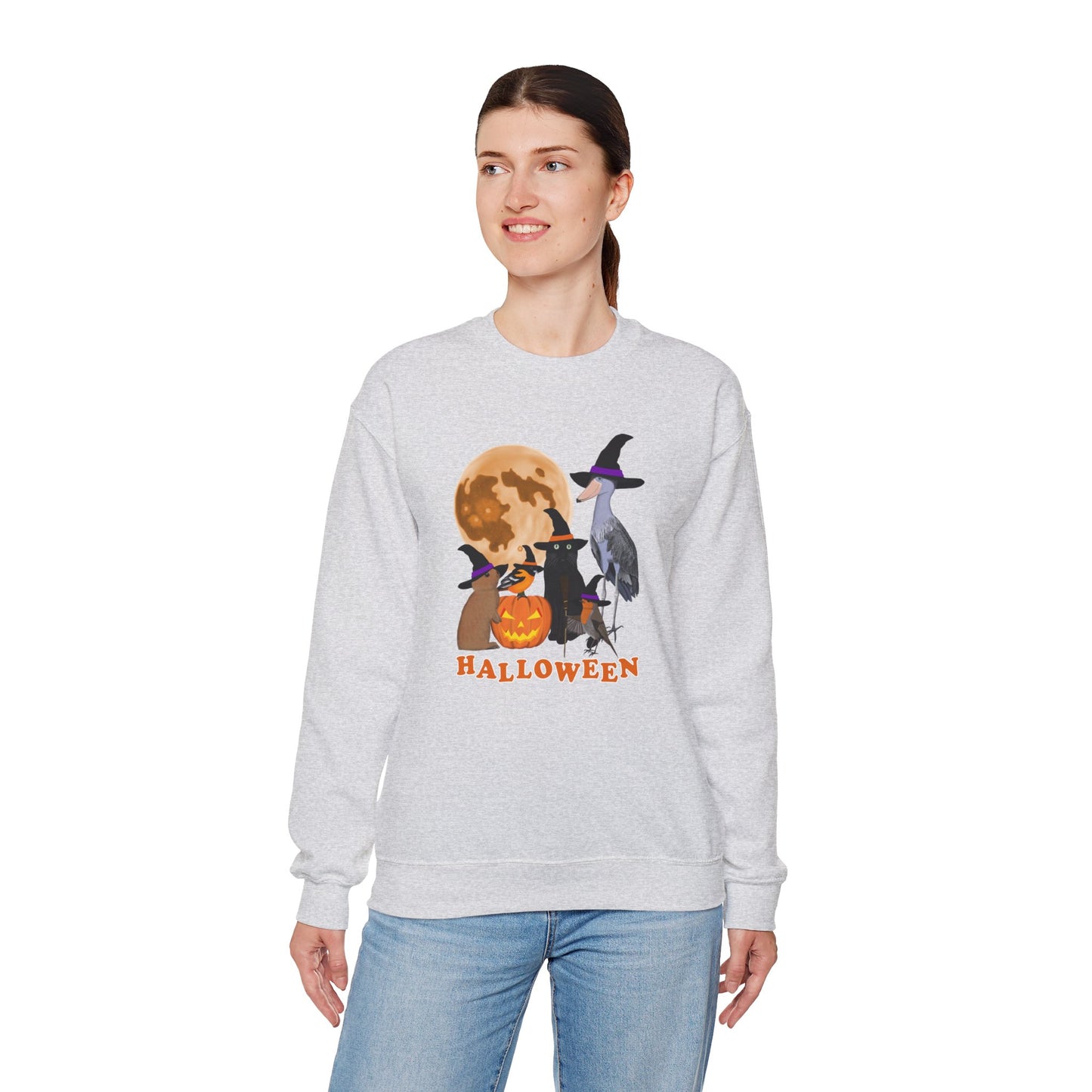 Oriole Robin Shoebill Rabbit with Cat and Bunny Halloween Bird Sweatshirt