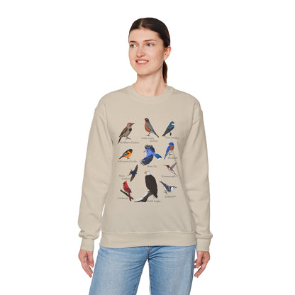 Blue Jay Cardinal Oriole Robin Hummingbird Birding & Birdwatching Bird Sweatshirt