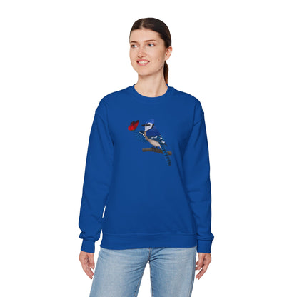 Blue Jay with Butterfly Bird Birding & Birdwatching Sweatshirt