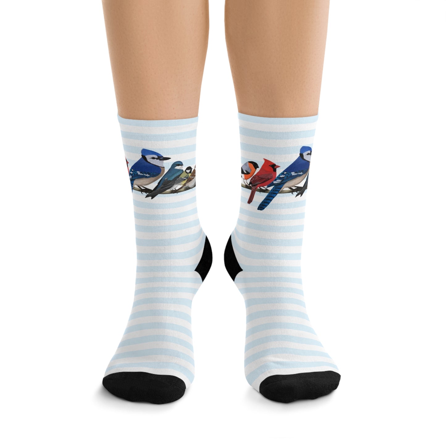 Garden Birds Blue Jay Cardinal Bullfinch Stripes Blue White Birding & Birdwatching Bird Socks