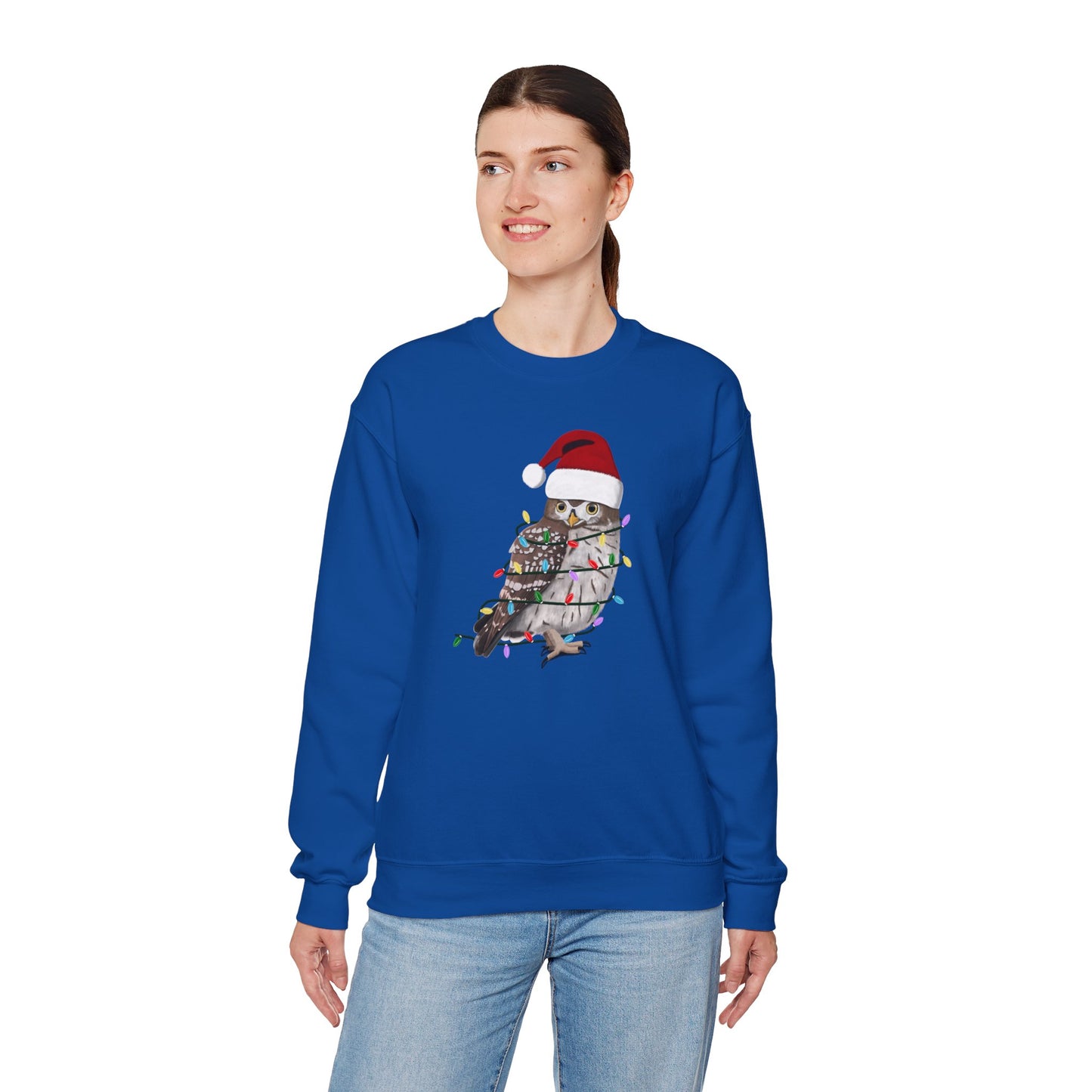 Owl with Fairy Lights Santa Claus Christmas Bird Sweatshirt