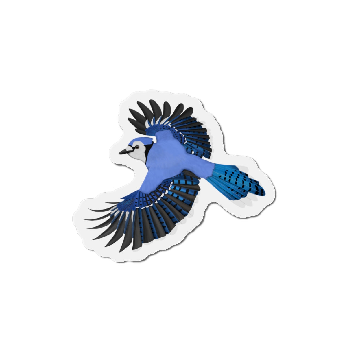 Blue Jay Flying Bird Magnet