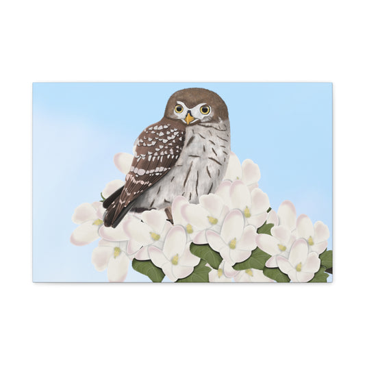 owl bird canvas gallery wrap
