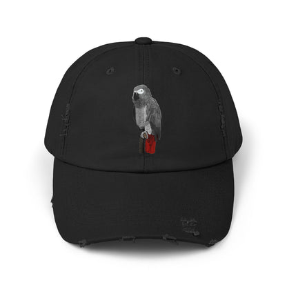 Grey Parrot Bird Art Distressed Cap