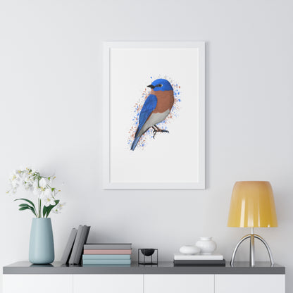 Bluebird Bird Framed Poster