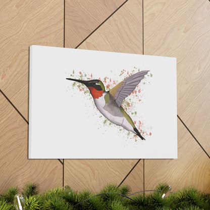 Hummingbird Bird Canvas Gallery Wrap White - jz.birds