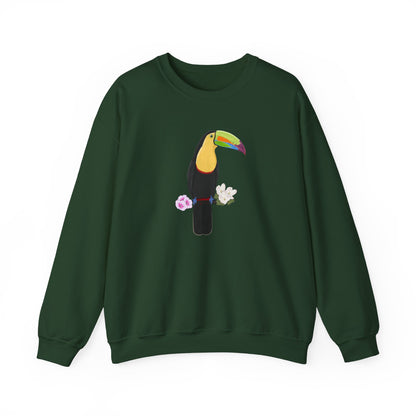 Keel-Billed Toucan Birdlover Ornithologist Bird Sweatshirt