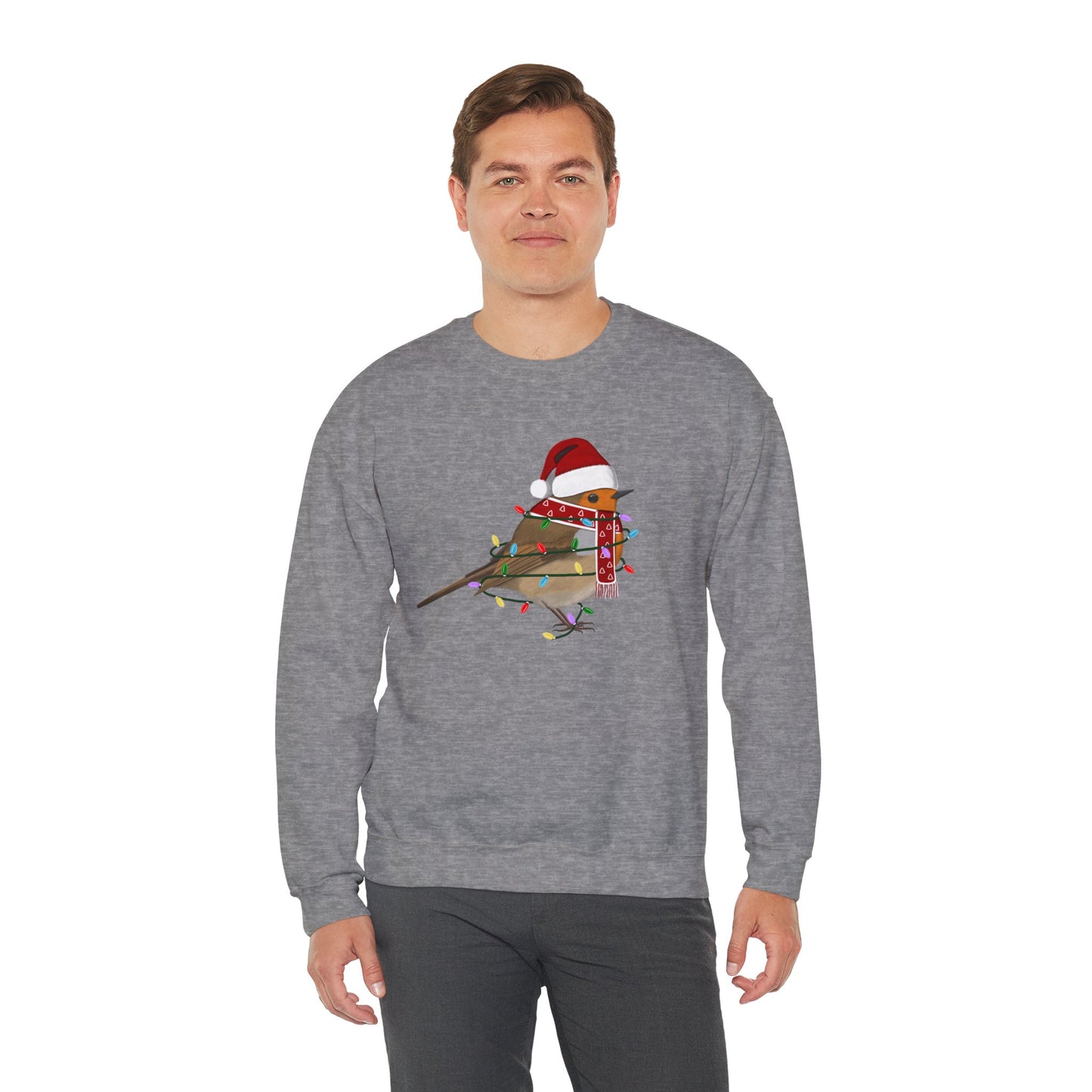 European Robin with Fairy Lights Santa Claus Christmas Bird Sweatshirt