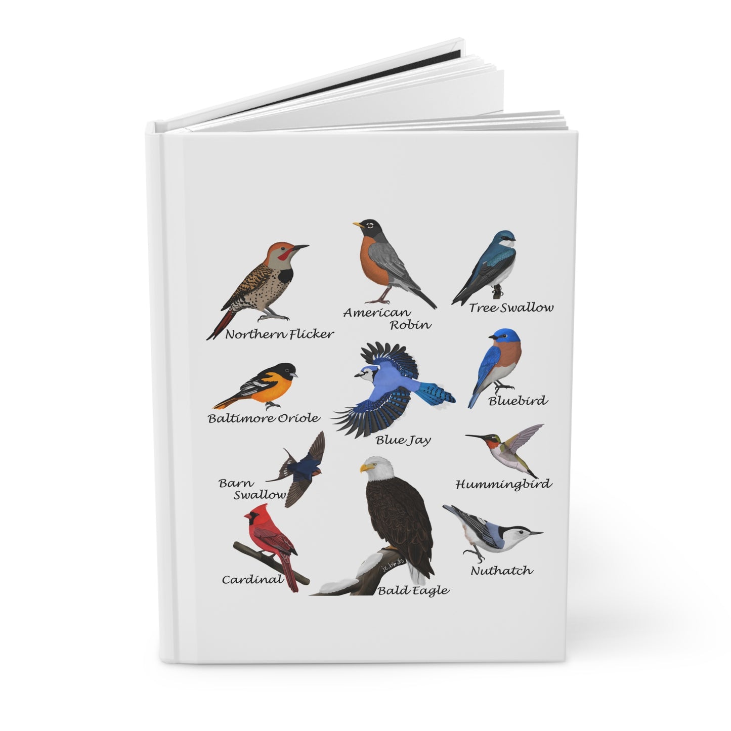 Garden Birds Blue Jay Cardinal Hummingbird Oriole Bird Hardcover Journal 5.75"x8"