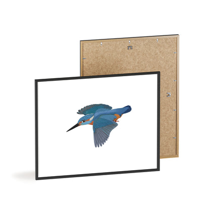 Vogel Poster im Holzrahmen - Eisvogel Poster Singvogel Weiß