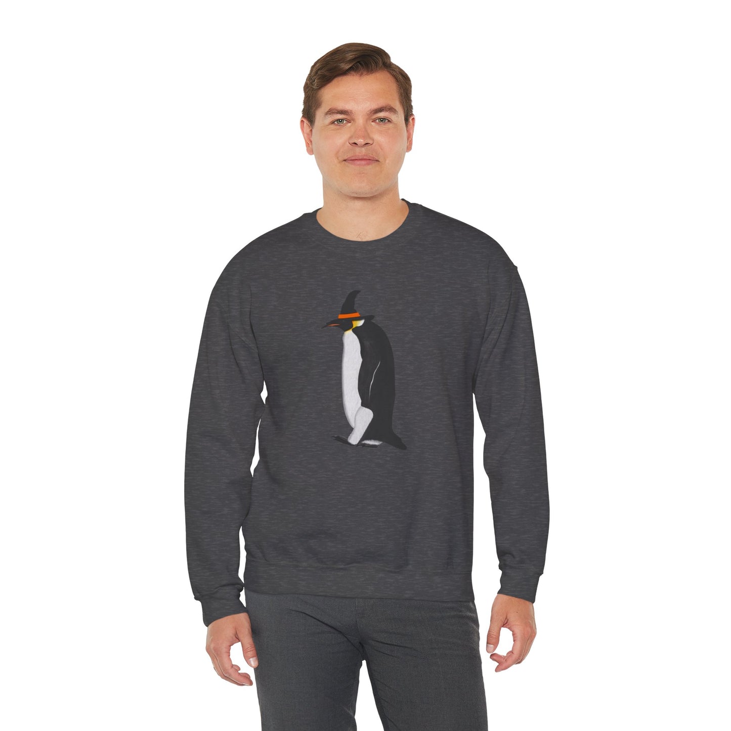 Penguin Halloween Birds Witch Birdwatcher Sweatshirt