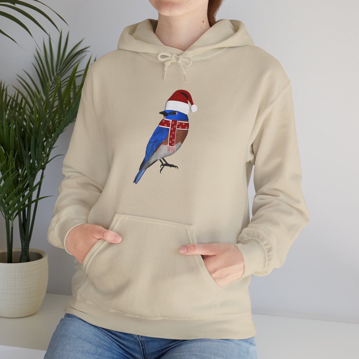 Bluebird Christmas Bird with Santa Hat Birdwatcher Birdlover Hoodie