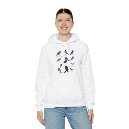 Blue Jay Cardinal Hummingbird Bald Eagle Robin Bird Hoodie