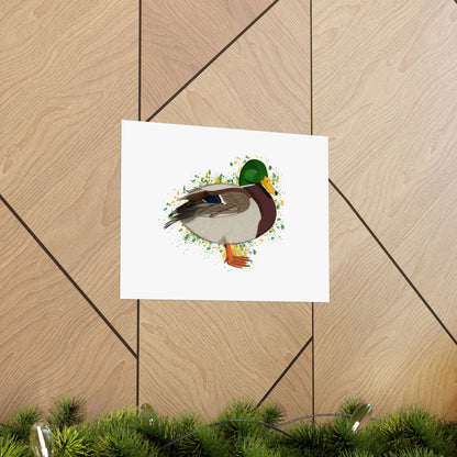 Mallard Bird Artwork Matte Poster