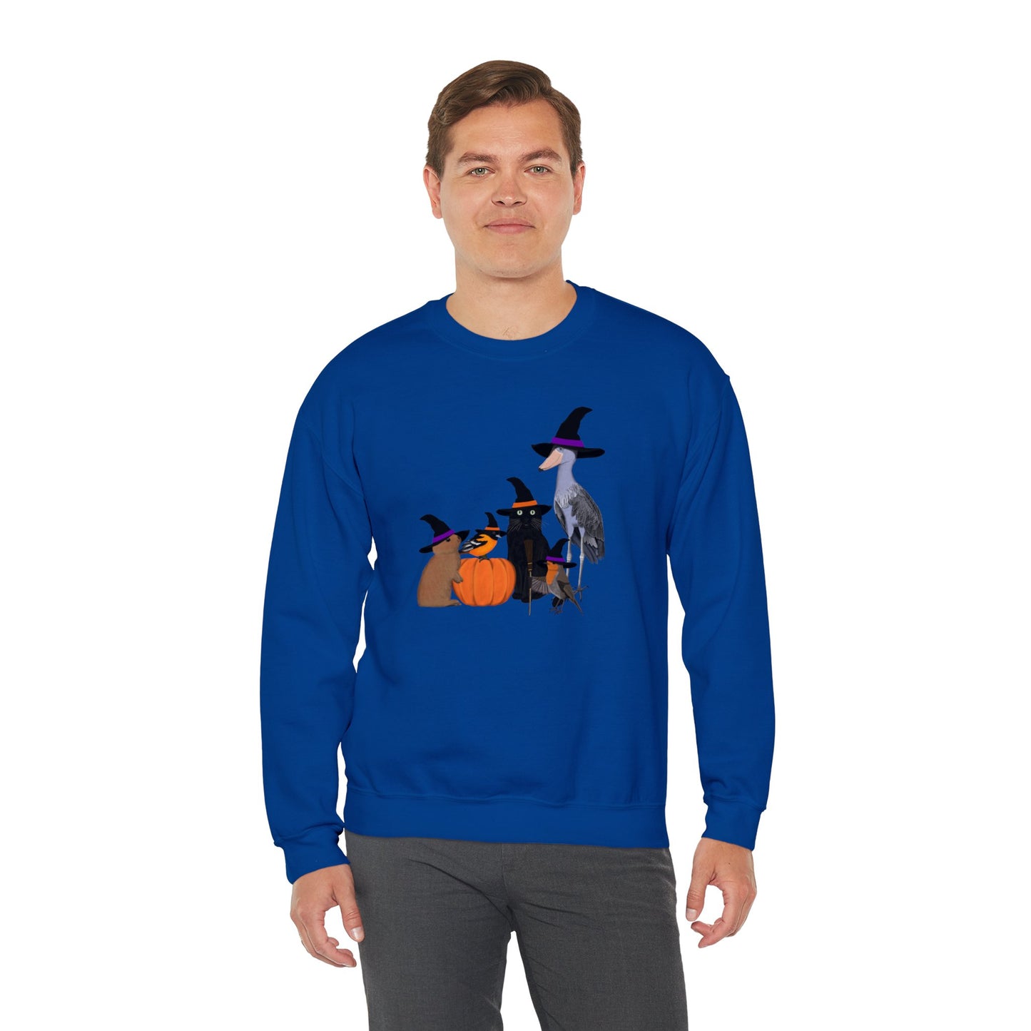 Robin Shoebill Oriole Rabbit with Cat Halloween Birds Sweatshirt