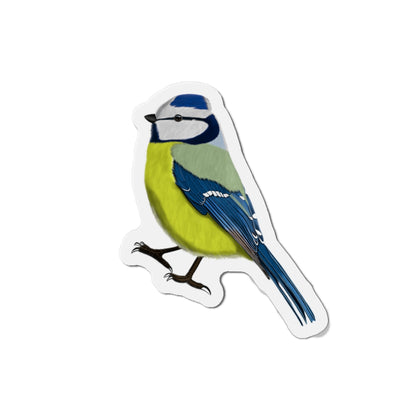 Blue Titmouse Bird Magnet