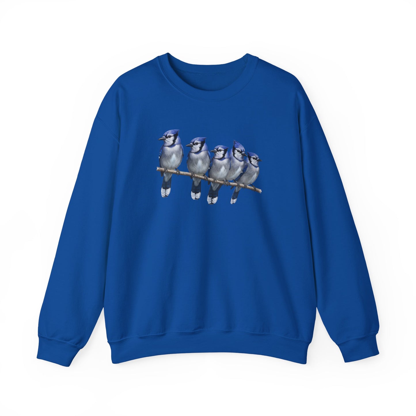 Blue Jays Sweatshirt | Bird Watcher Crewneck | Unisex Songbird Gift for Bird Lovers