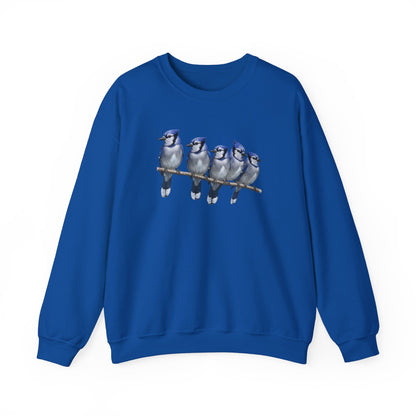 Blue Jays Sweatshirt | Bird Watcher Crewneck | Unisex Songbird Gift for Bird Lovers