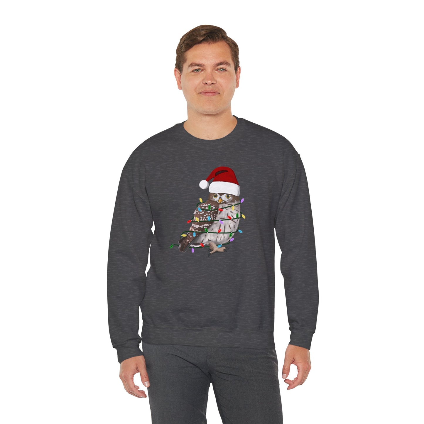 Owl with Fairy Lights Santa Claus Christmas Bird Sweatshirt