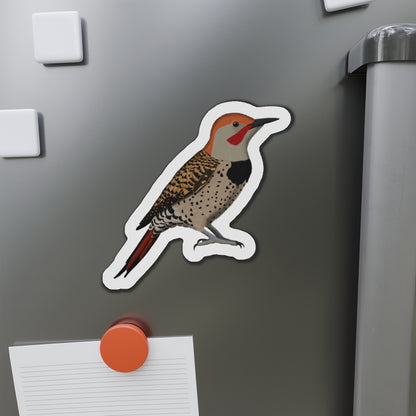 Northern Flicker Bird Magnet