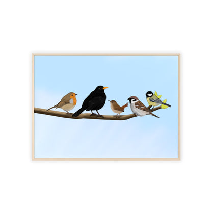 Vogel Poster im Holzrahmen - Vögel auf einem Ast Poster Amsel Rotkehlchen Zaunkönig Spatz Kohlmeise