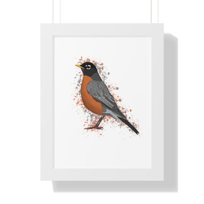 Robin Bird Framed Poster