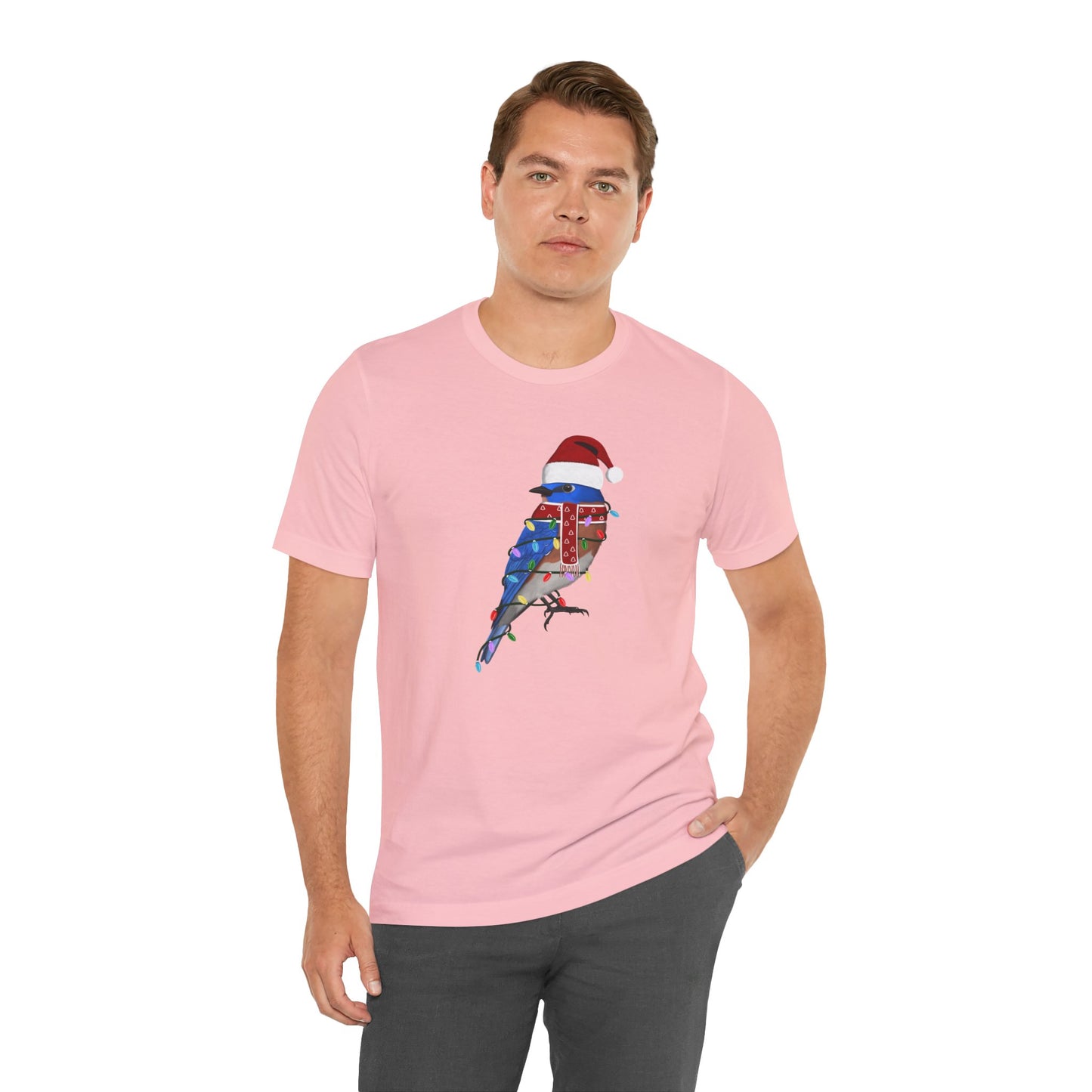 Bluebird with Fairy Lights Christmas Bird T-Shirt