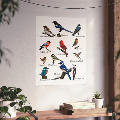 Backyard Birds Blue Jay Cardinal Hummingbird Matte Bird Poster