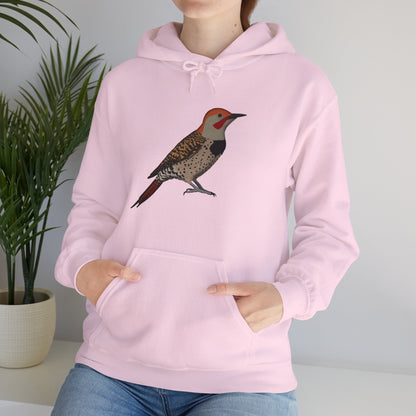 Northern Flicker Bird Birdwatching Birder Hoodie