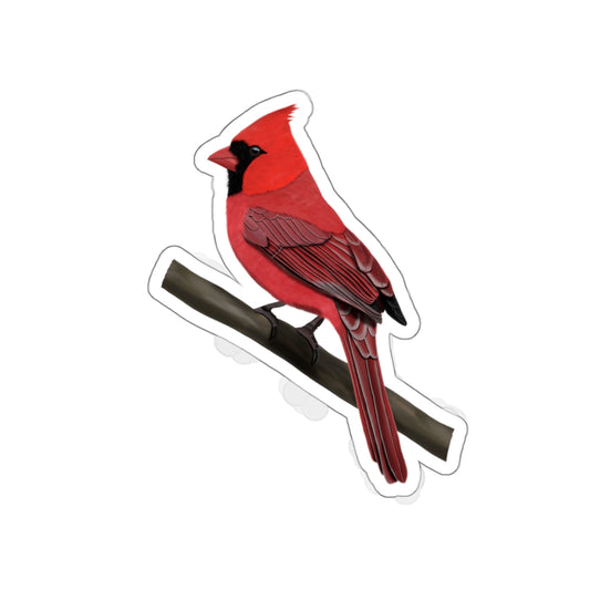 Northern Cardinal Bird Kiss-Cut Sticker